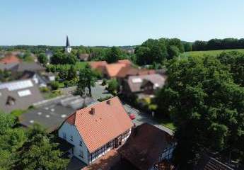 492282-Vorschaubild2