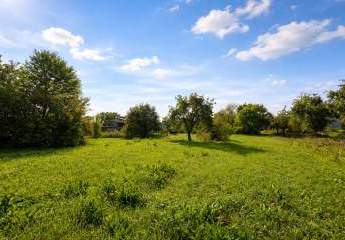 478679-Vorschaubild2