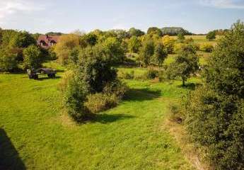 478679-Vorschaubild3