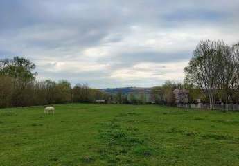 Riesiges Premium-Baugrundstück am Plattensee in Szólád mit ca. 6800 m2 - Pferdehaltung u. Natur