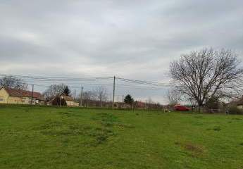 485352-Vorschaubild3