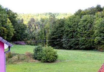 492232-Vorschaubild2
