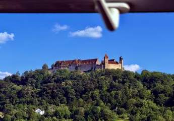 496449-Vorschaubild2