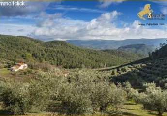 Landsitz, Jagdgebiet, Andalusien, Jaen zu verkaufen