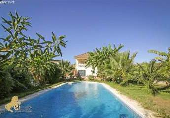 Haus mit Pool, Pferdeboxen Andalusien, Sevilla, Coto Donana zu verkaufen