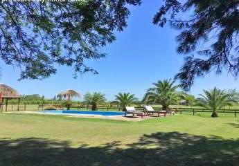 Polo-Ranch, nahe Buenos Aires in Argentinien zu verkaufen