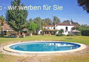 440414-Vorschaubild2