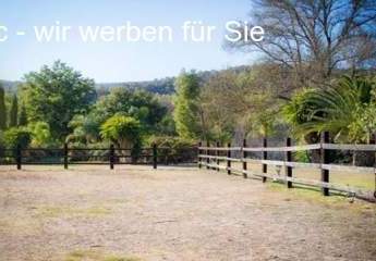 440414-Vorschaubild3