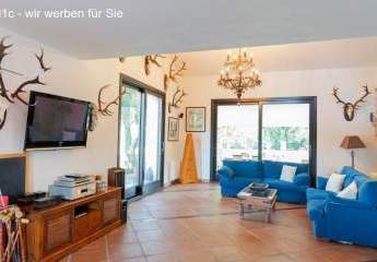 440414-Vorschaubild4