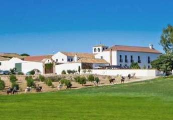 Andalusien, nahe Antequera, Fincahotel mit Gästezimmern und Reitstall