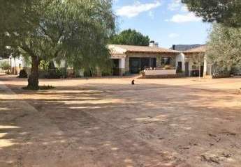 Murcia, Campo de Ricote - Designerfinca mit Pferdestall zu verkaufen