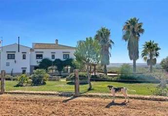 87 Hektar Finca, Provinz Huelva - ideal zur Pferde-Rinderzucht zu verkaufen
