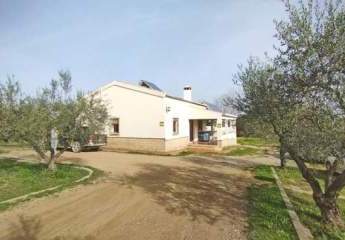 Andalusien, Provinz Huelva, La Palma del Condado - Haus mit Pool und Nebengebäude