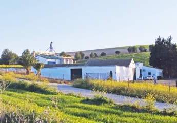 Andalusien, Provinz Cadiz, Bornos - Finca mit viel Land + Potential