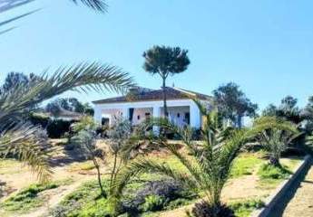 Andalusien, Huelva, La Palma del Condado - Finca mit 2 Häusern zu verkaufen