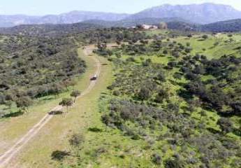 Andalusien, Provinz Jaen, Naturpark Sierra de Andujar - 852 Hektar Jagdfinca