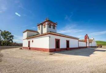 Andalusien, 45 min von Sevilla - authentischer Cortijo zu verkaufen!