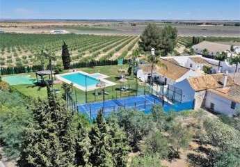 Andalusien, Provinz Sevilla, Las Cabezas de San Juan - Finca de Luxe
