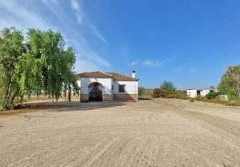 Andalusien, Medina Sidonia - Finca mit Pferdehaltung