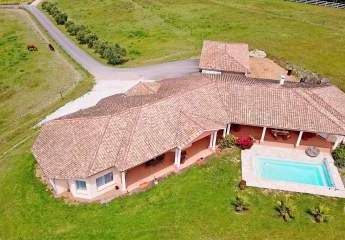 452931-Vorschaubild3