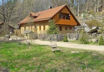 Bayern, Oberpfalz, nahe Zell - Wohnhaus mit Bach, Schwimmteich und Offenstall für Pferde