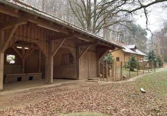 467051-Vorschaubild2