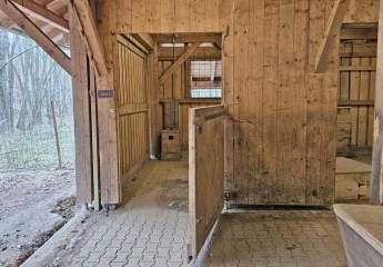 467051-Vorschaubild3