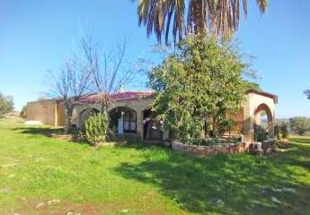 469309-Vorschaubild2