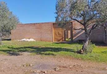 469309-Vorschaubild3