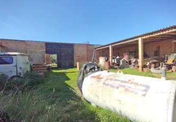 469309-Vorschaubild4