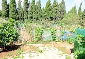 478752-Vorschaubild3