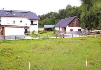 485382-Vorschaubild2