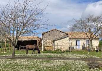 Südwest-Frankreich, nahe Saint-Émilion - romantisches Haus für Pferdeliebhaber
