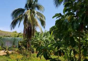 Verkaufe Tinyhouse mit Bananenplantage in der DomRep.