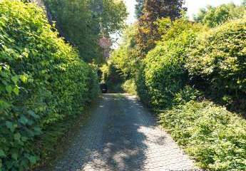 450162-Vorschaubild2
