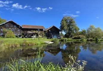 463522-Vorschaubild2