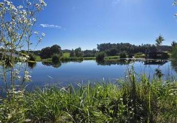 463522-Vorschaubild3