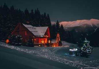 463650-Vorschaubild4