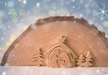 463670-Vorschaubild3