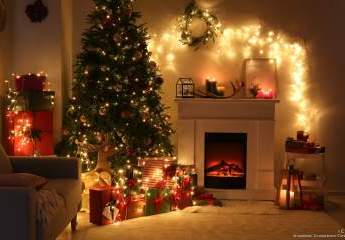 463673-Vorschaubild3