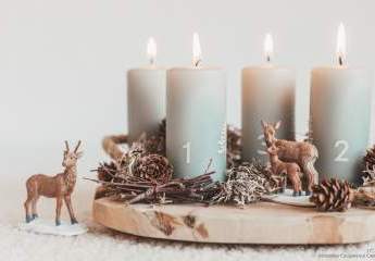 463673-Vorschaubild4