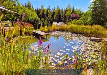 464236-Vorschaubild2