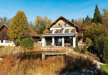 464236-Vorschaubild3