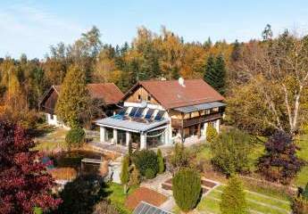 464236-Vorschaubild4