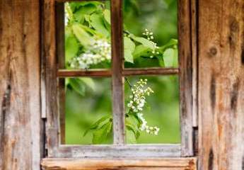 464246-Vorschaubild2