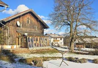 463522-Vorschaubild4