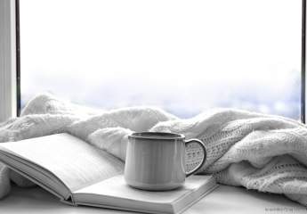 468221-Vorschaubild3