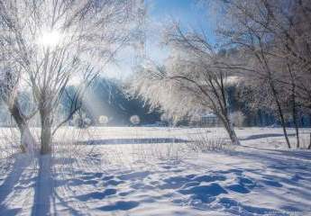 468221-Vorschaubild3