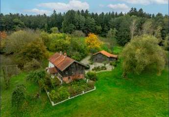 463664-Vorschaubild4