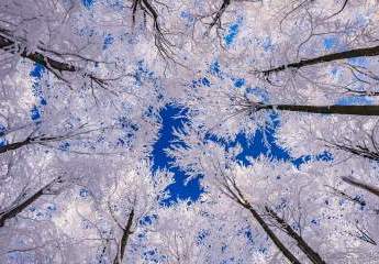 ***   FESTPREIS: 250.000,- EUR   ***
Liebhaber-Sacherl in Alleinlage - ca. 6.500 m² Grund 
am Mühl-/ Prienbach - südlich von Stubenberg